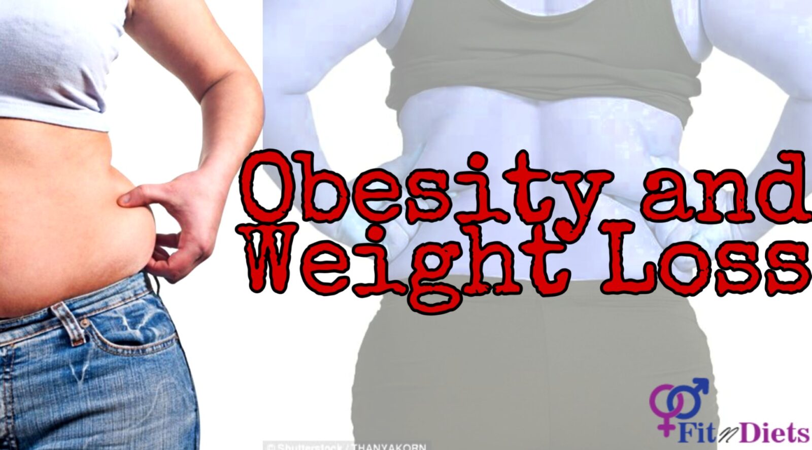 Cure Obesity With Simple Diet And Lifestyle Changes - Fit n Diets